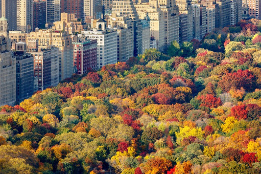 Fall into the city