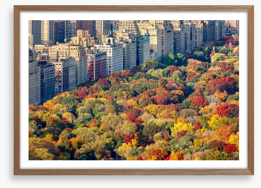 Fall into the city