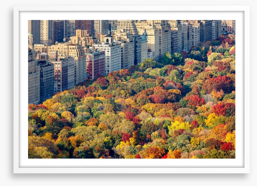 Fall into the city