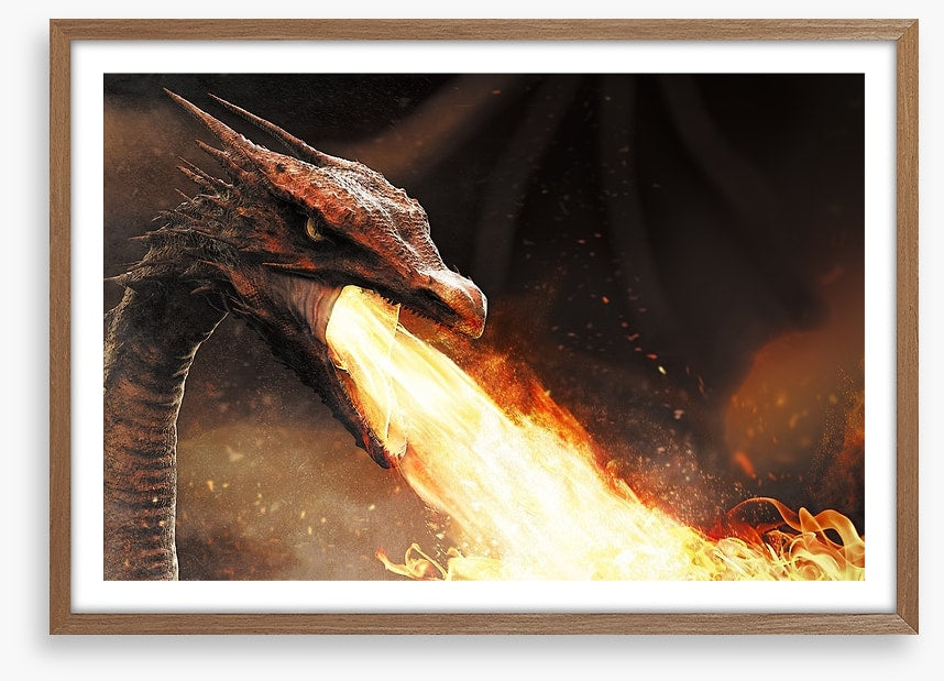Dragons