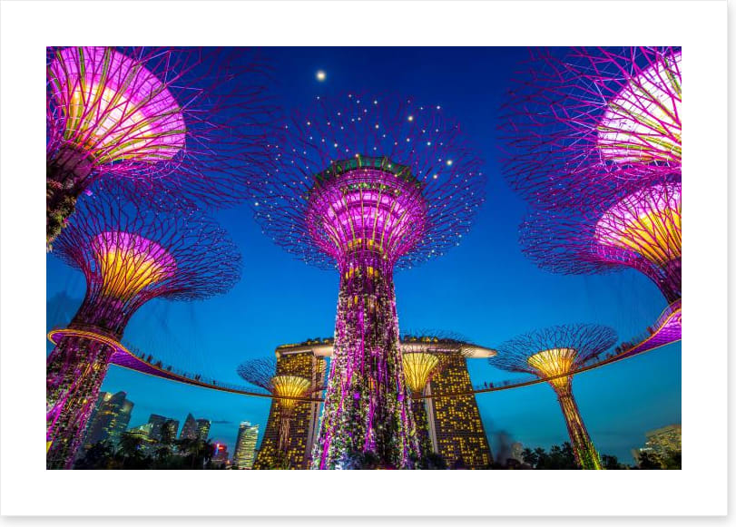 Singapore supertree