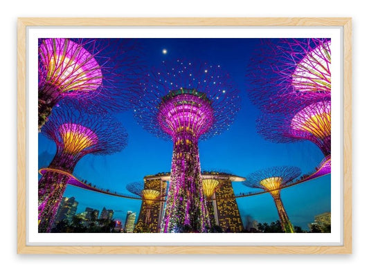 Singapore supertree