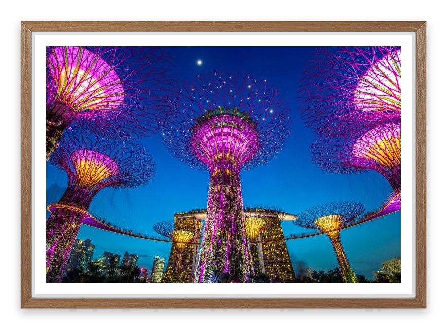 Singapore supertree