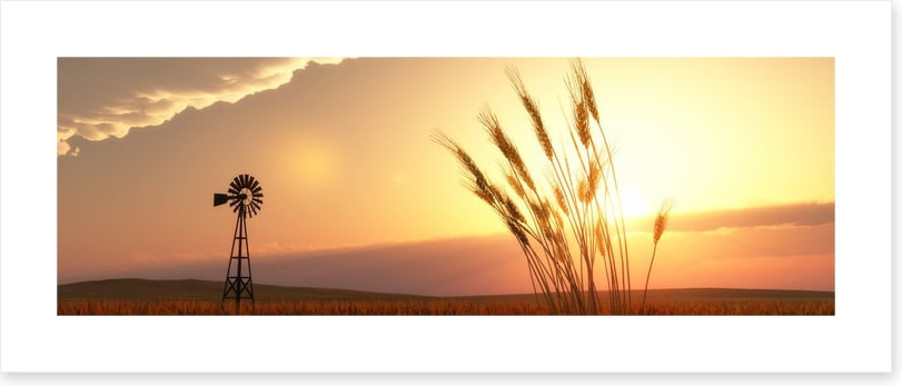 Agriculture