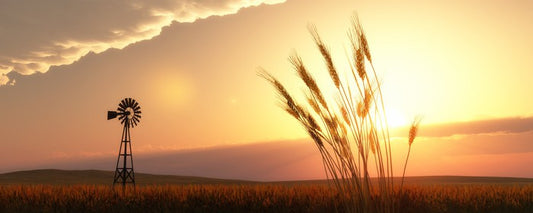 Agriculture