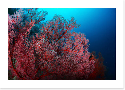 Underwater