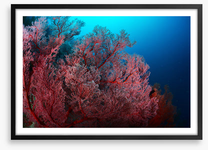Underwater