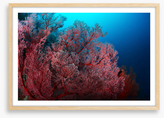Underwater