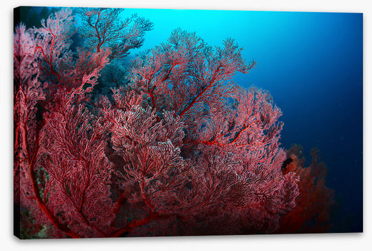 Underwater