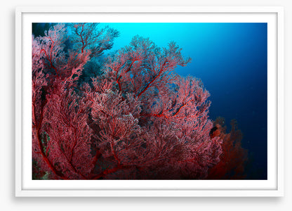 Underwater