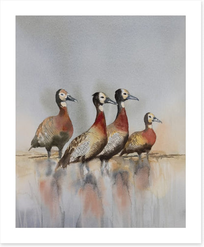 Four whistling ducks