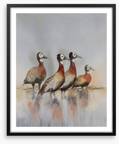 Four whistling ducks