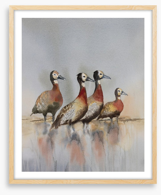 Four whistling ducks
