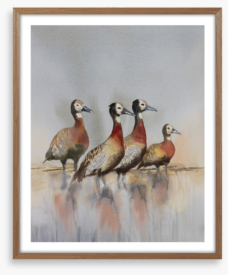 Four whistling ducks