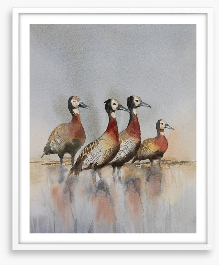 Four whistling ducks
