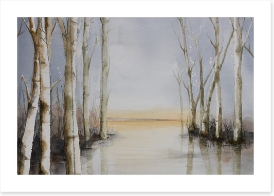 Lakeside copse