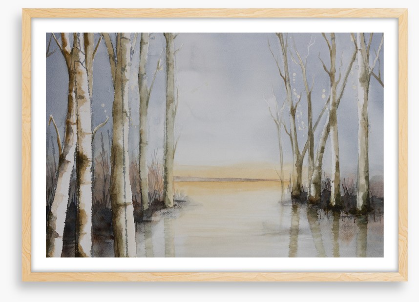 Lakeside copse