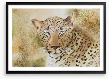 Languorous leopard