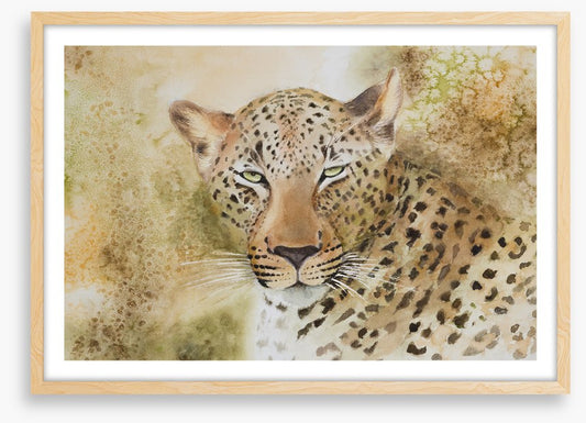 Languorous leopard