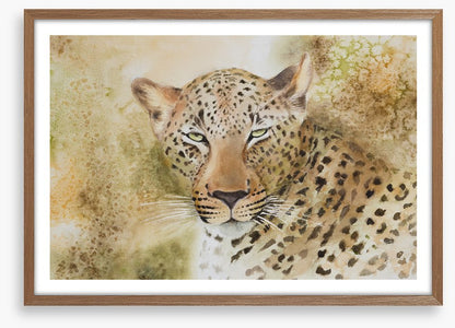 Languorous leopard