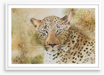 Languorous leopard