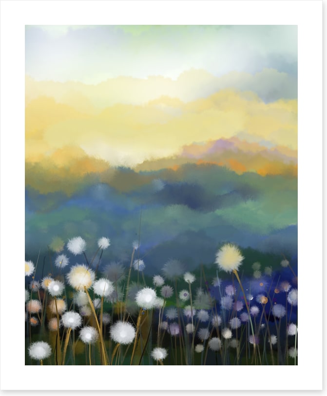 Meadow morning