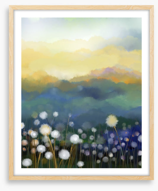 Meadow morning