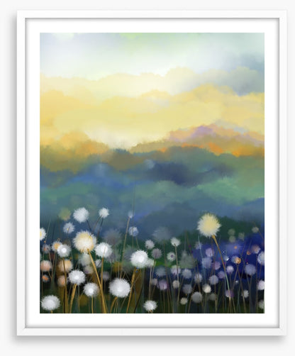 Meadow morning
