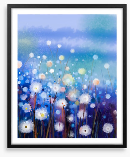 Moonlight meadow