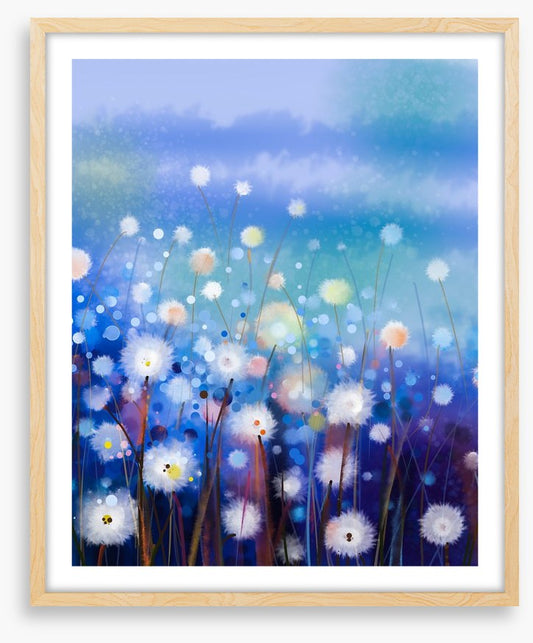 Moonlight meadow