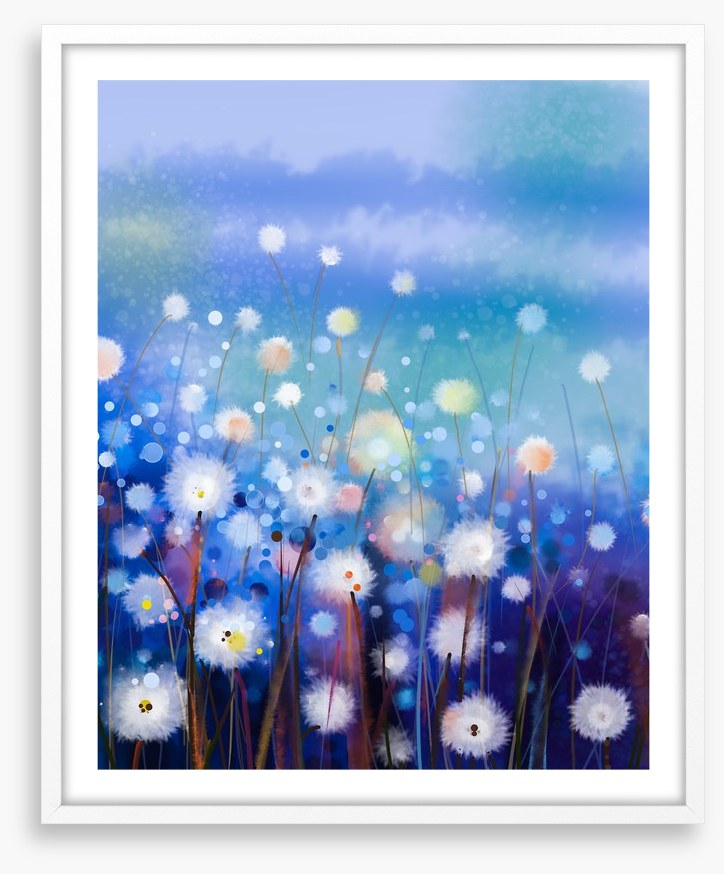 Moonlight meadow
