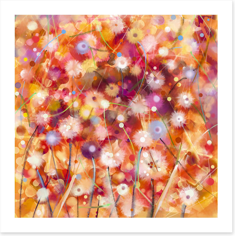 Midsummer meadow