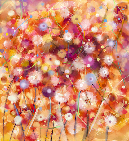 Midsummer meadow