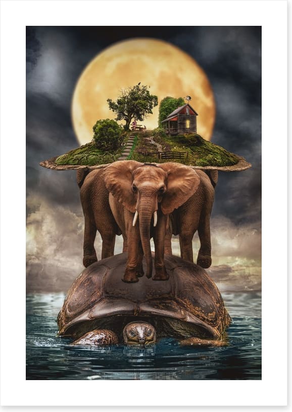 Natural history