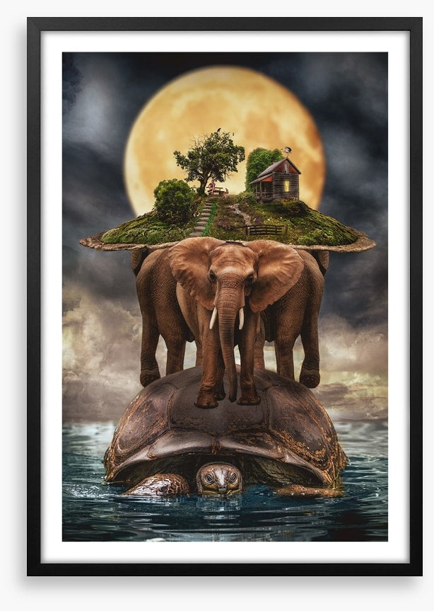 Natural history