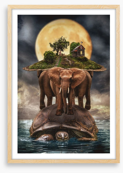 Natural history