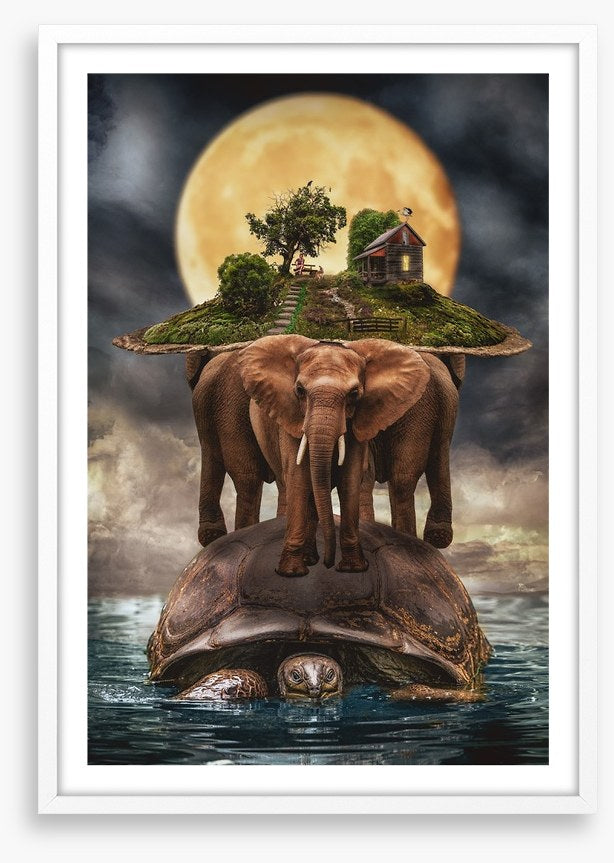Natural history