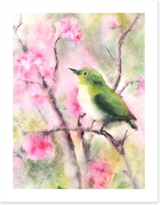 Spring serenade