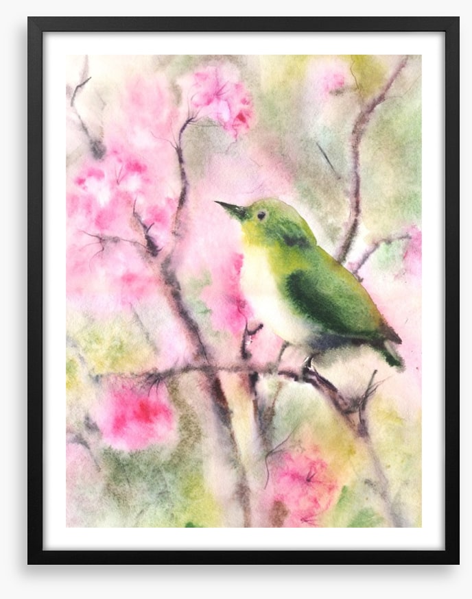 Spring serenade