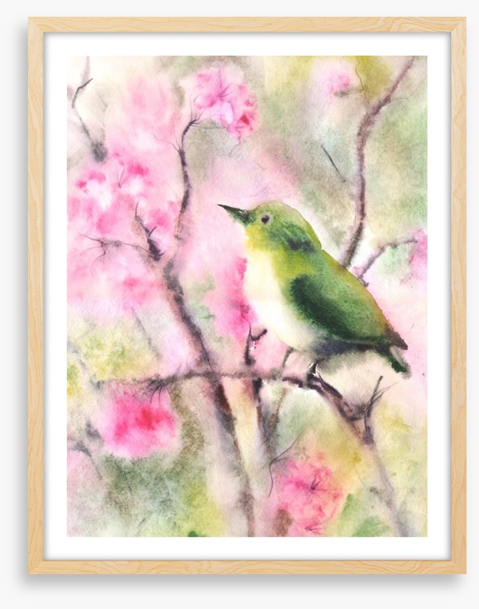 Spring serenade