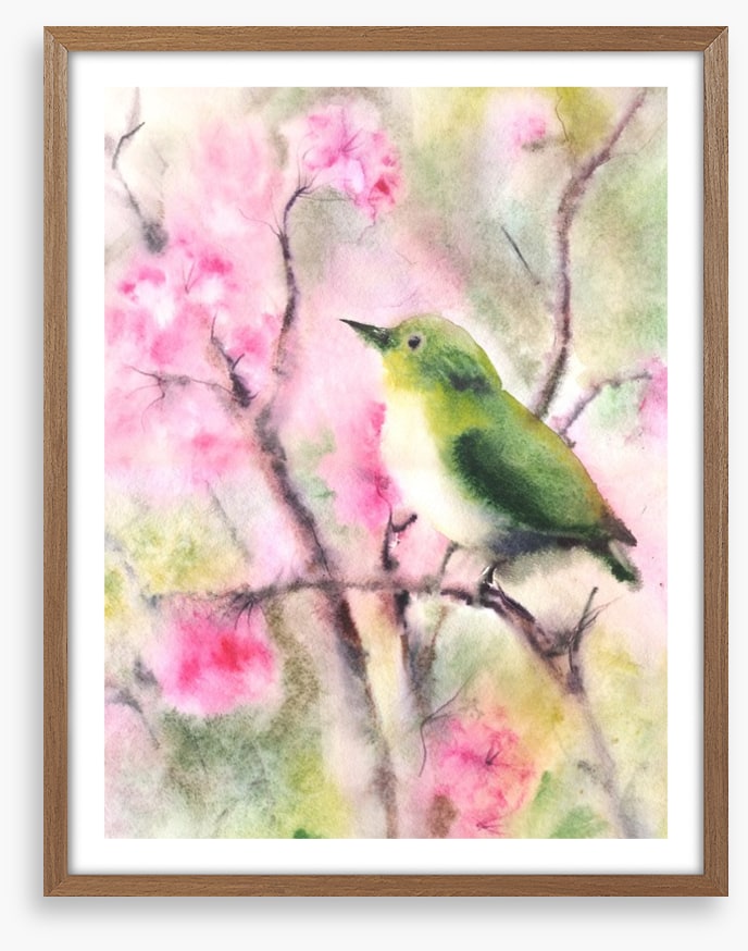 Spring serenade