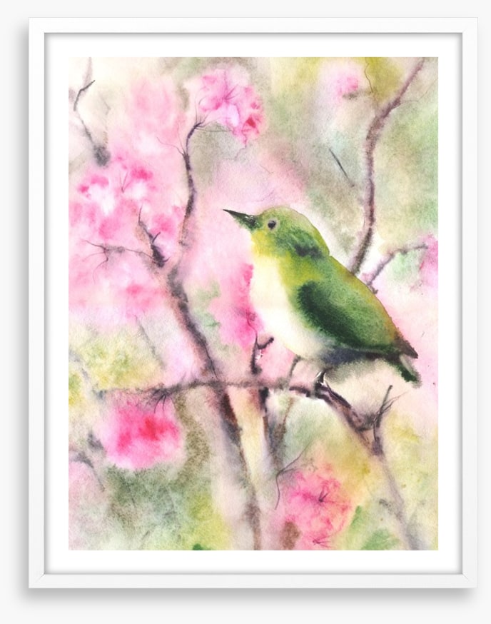 Spring serenade