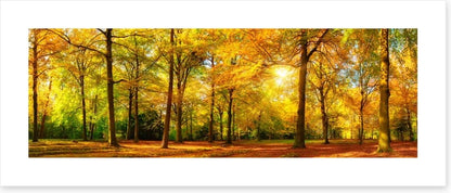 Falling light panorama