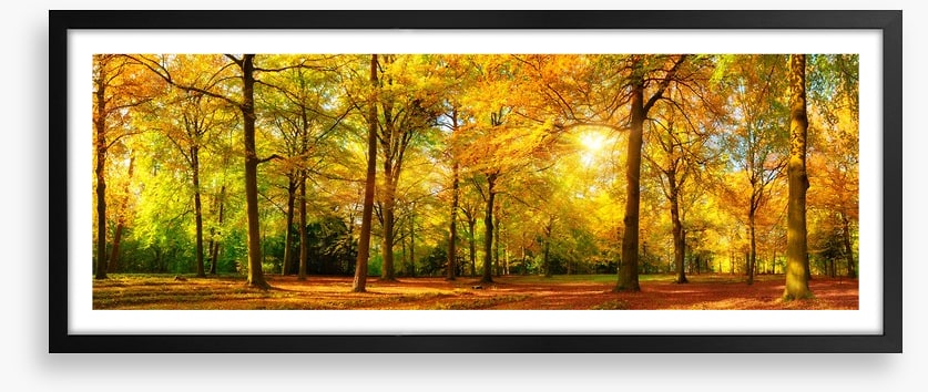 Falling light panorama