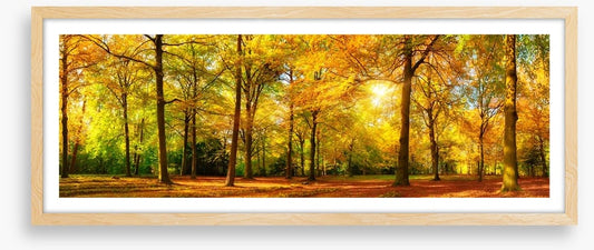 Falling light panorama