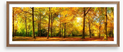 Falling light panorama
