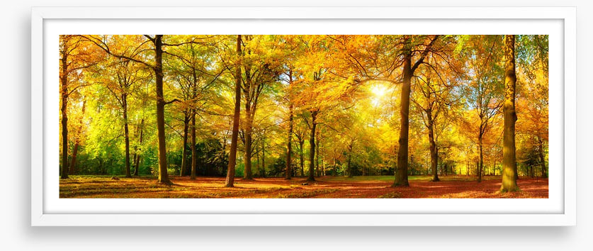 Falling light panorama