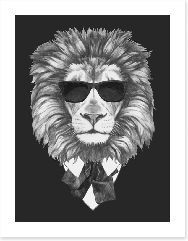 Suave lion