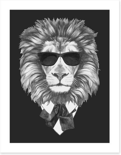 Suave lion