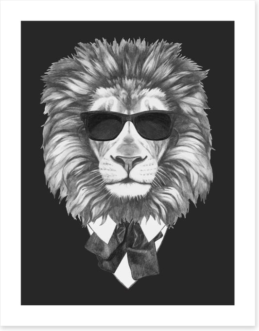 Suave lion